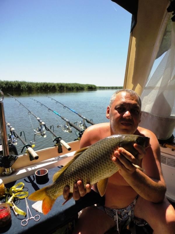 Delta iunie 2013 - dsc09886.JPG